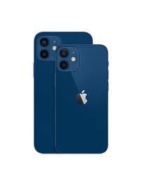 iPhone 12 Mini 64 Gb